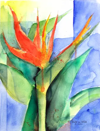 Bild 16